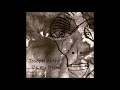 Joseph Arthur  - Be my friend