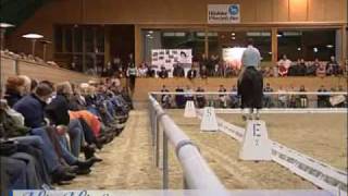 Video di His Highness