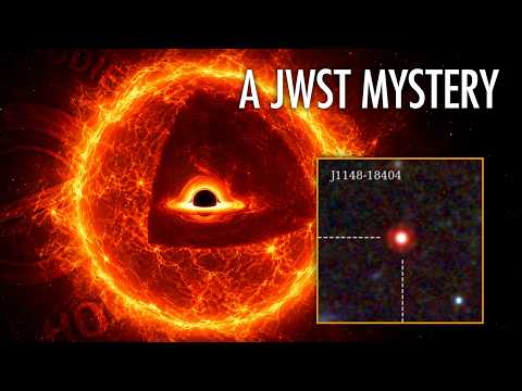 JWST Found Something Very Strange in the Early Universe | With Prof. Mitch Begelman