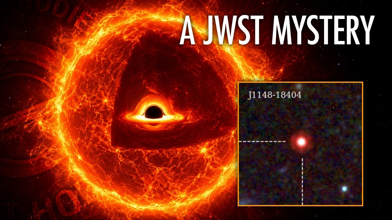 JWST Found Something Very Strange in the Early Universe | With Prof. Mitch Begelman