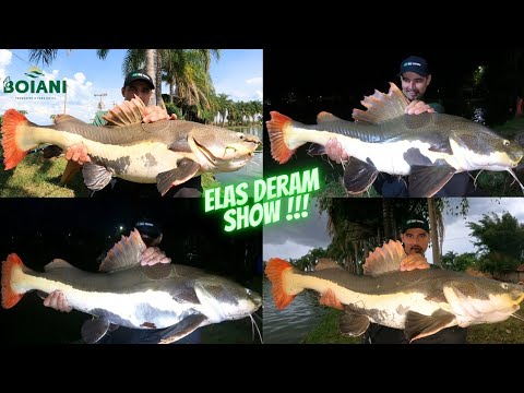 LUGAR SENSACIONAL!!! Park Hotel Pesqueiro Boiani em Arealva- SP