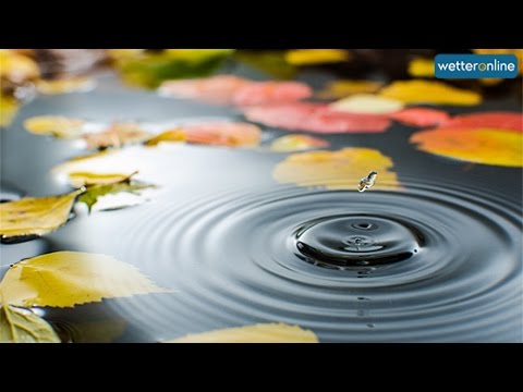 wetteronline.de: Ungemütliches Herbstwetter  (11.10.2015)