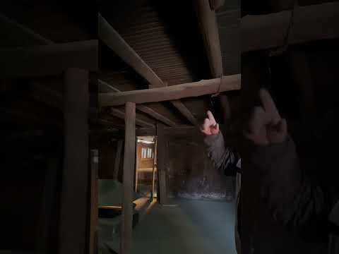 ¿Cómo se procesan 30.000 kg de Yerba Mate? 🧉🏗️