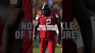 Steelers draft visits: Is Lee Hunter the next Casey Hampton or Stephon Tuitt