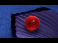 Finding Nemo Egg Scene