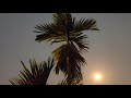 Diye Jalte Hai Evergreen Hindi Magic Song By R D Burman Kishore Kumar