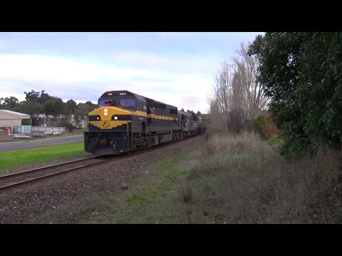 5 Classic EMD Diesel Locomotives at Hamilton, Victoria