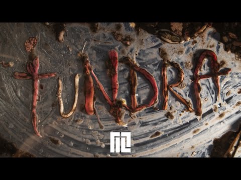 Video thumbnail for TUNDRA