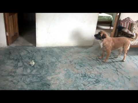 Jerusa ya está en el cielo pero sigue con nosotros