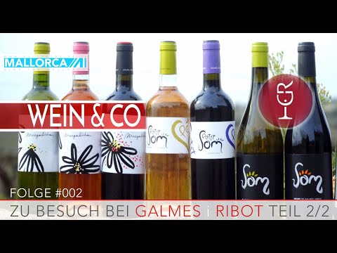 Wein&CO #002 Zu Besuch bei Galmes&Ribot Teil 2 von 2