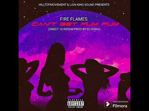 FIRE FLAMES - CAN'T GET PUM PUM PROMO MIXTAPE BY (DJ TOLLA HOUTBAY DON) 2025