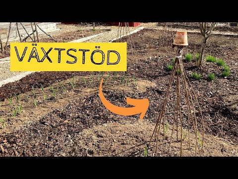 Ett enkelt och billigt VÄXTSTÖD som går att flytta i odlingsbädden