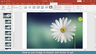 How to add image in header and footer in ppt