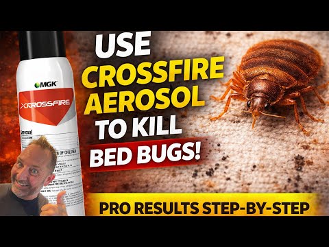 How to Use Crossfire Aerosol for Bed Bugs | PRO Results Without a Sprayer