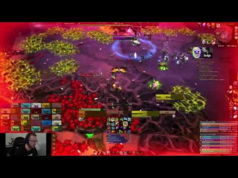 Heroic Nythendra vs Vindicatum - Hunter PoV