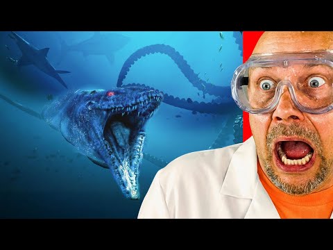 The MOST Insane Sea creatures Caught On Camera!