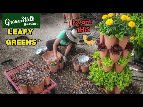 How I plan, set up & amend my GREENSTALKS for FALL; And My 1st of 12 has been planted!  