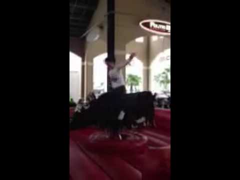 Bull Ball Bustin Babe