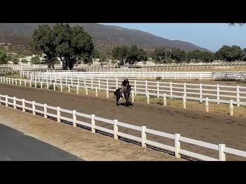 Hip 131 Grace Upon Grace Robotica