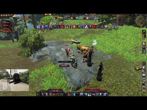 Age of Conan Forever! This and that :)