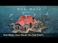 Rod Wave How Would You Feel FAST