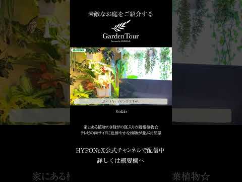 園芸植物 - 魅力的で多彩な竹  庭園