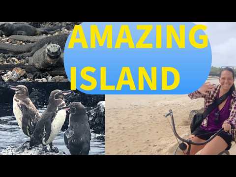 ISABELA ISLAND, GALAPAGOS, ECUADOR (full island tour)🦭🦀🦎