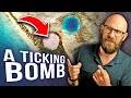 Cactus Dome: The Nuclear Tomb in Paradise