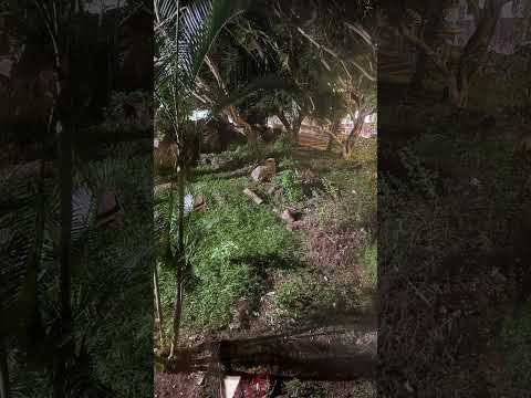 Tirupathi!!!❤️❤️#Thebest #nature