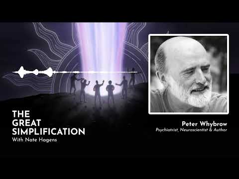 Peter Whybrow: “When More is Not Enough” | The Great Simplification #26