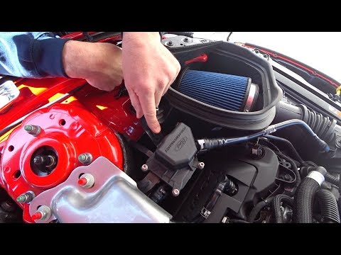 Ford Performance Oil Separators and Maintenance 5.0 Coyote & 5.2 Voodoo
