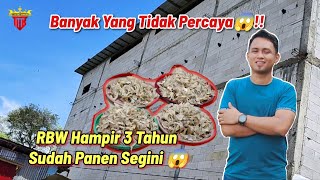 Download lagu Andi Sufar's 3rd RBW: Only 3 Years and Already This Much Harvest 😱‼️ mp3 Download lagu Andi Sufar's 3rd RBW: Only 3 Years and Already This Much Harvest 😱‼️ mp3