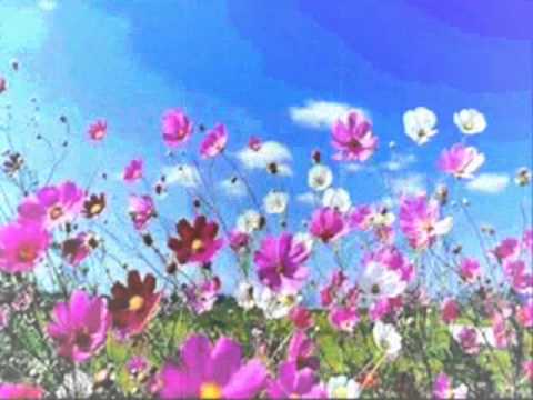 Esat Bicurri - MBLIDHEN LULET