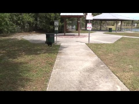 Proposed 'alcohol-friendly' K-9 social club in Stuart causes controversy