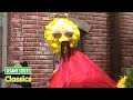 D Is For Disguise Sesame Street Classics