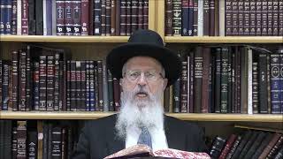 הגאון הרב אברהם יוסף שליט"א האם מותר להנמיך את הגז ביום טוב (הרב אברהם יוסף) - התמונה מוצגת ישירות מתוך אתר האינטרנט יוטיוב. זכויות היוצרים בתמונה שייכות ליוצרה. קישור קרדיט למקור התוכן נמצא בתוך דף הסרטון