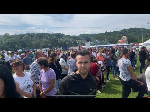 DANIEL CHITULESCU SI SERGIU STB LA HARTIESTI - VINO MANDRO PE ULITA