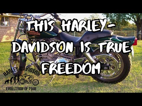 Why the Harley-Davidson Evo Engine is Perfect for DIY Mechanics