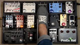 Video thumbnail for Curtis' Temple Audio Trio 28 Pedalboard Demo by Curtis Kent