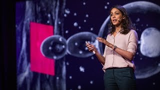 How fungi recognize (and infect) plants | Mennat El Ghalid