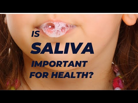 Is Saliva Important for Health?