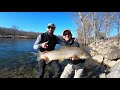 Streamer eating Behemoth Brown Trout on the White River - Streamer Lovefest 2019