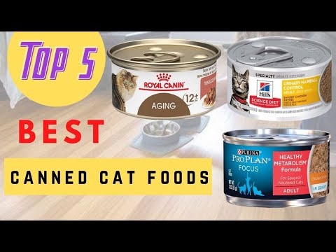 Top 5 Best Canned Cat Foods Review 2021