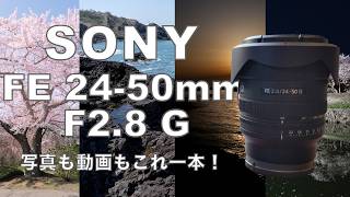 『ガジェット紹介』写真も動画もこれ一本！SONY FE24 - 50mm F2.8Gレンズを紹介