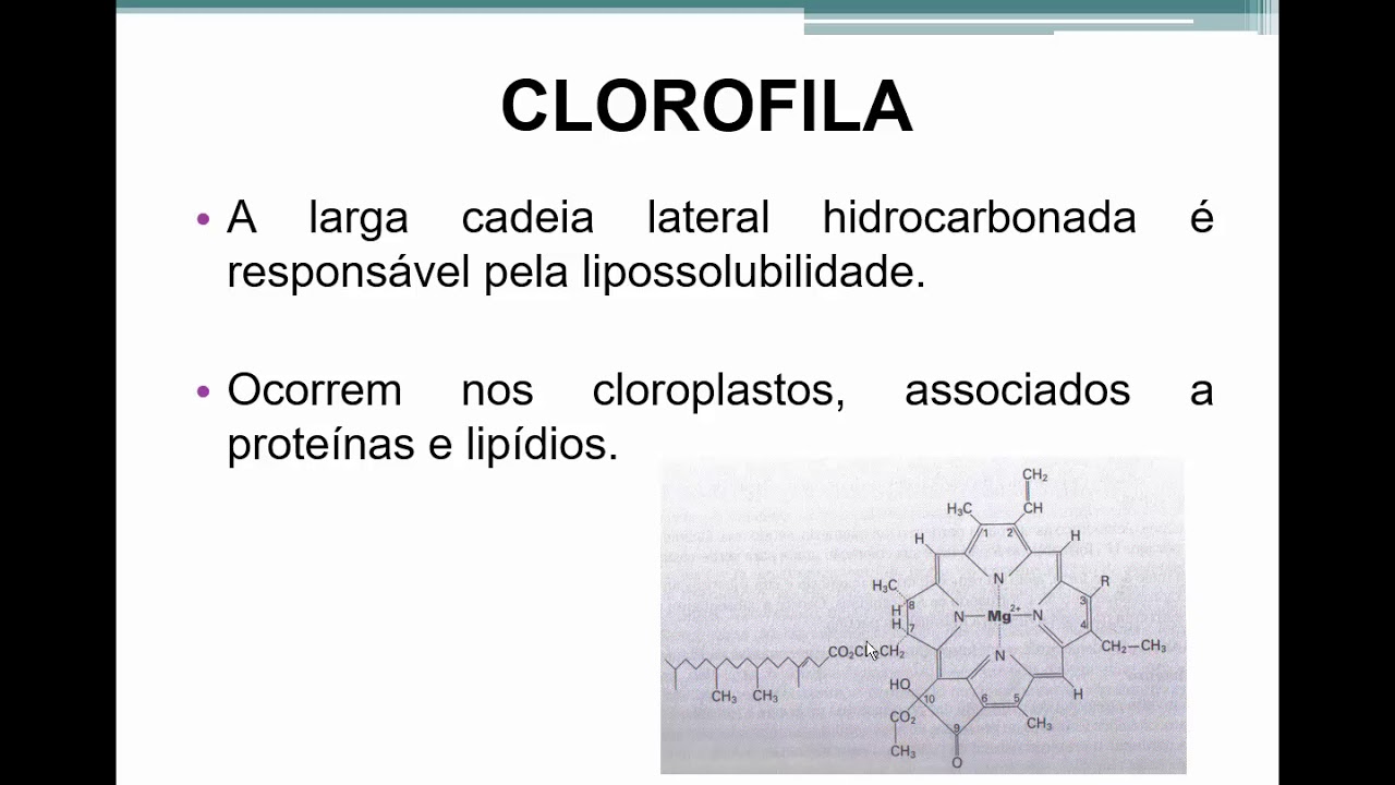 BROMATOLOGIA: PIGMENTOS PARTE 1