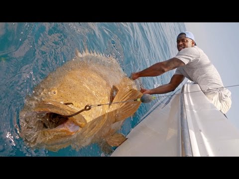 Fiskeri efter bonito og kæmpestore goliath groupers (havaborrer)