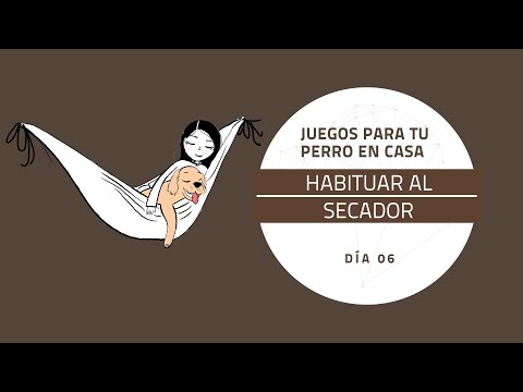 [Juegos para tu perro en casa] DÍA 6: Habituar al secador