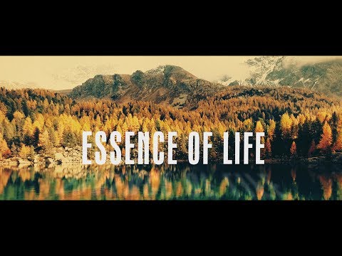 ???? Devi Reed - Essence of Life [Official Music Video 4K]