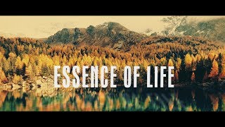 Devi Reed - Essence of Life [Official Music Video 4K]