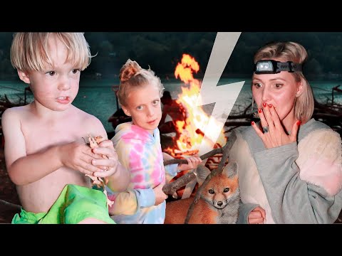 🦊  NOAPTEA LA CORT ! Ne-a vizitat vulpea !